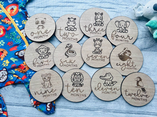 Baby Milestone Discs - Jungle craft product
