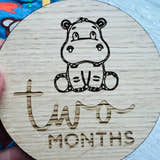 Load image into Gallery viewer, Two Month baby milestone disc