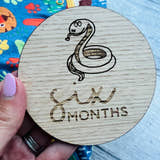 Load image into Gallery viewer, Six Month baby milestone disc