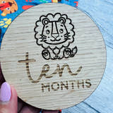 Load image into Gallery viewer, Ten Month baby milestone disc
