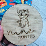 Load image into Gallery viewer, Nine Month baby milestone disc