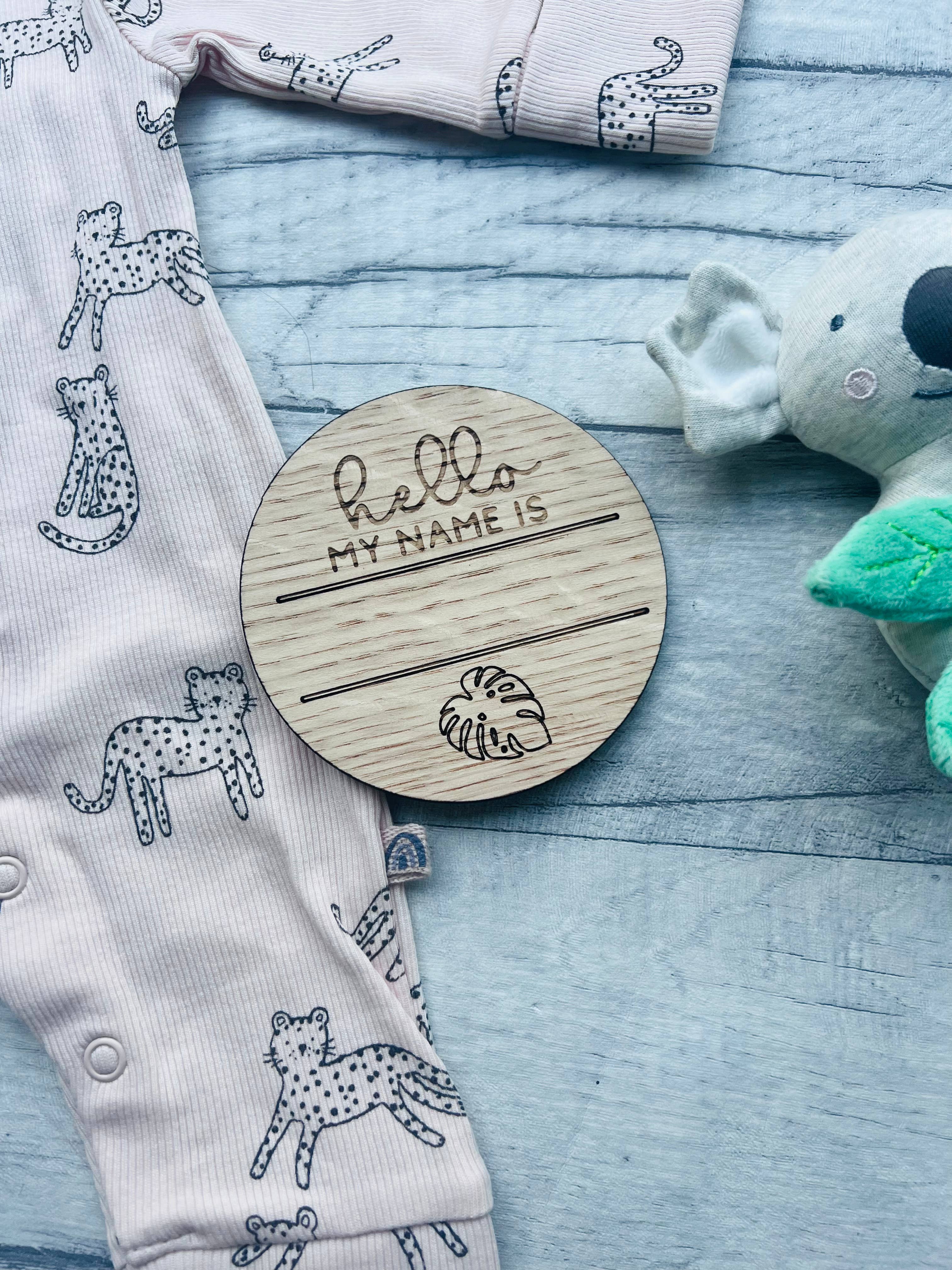 Baby Milestone Discs - Jungle craft product