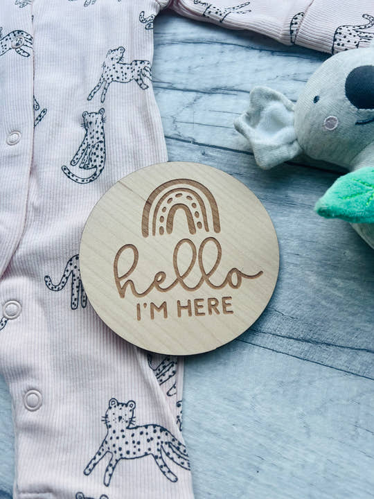 Baby Milestone Discs - Rainbow craft product