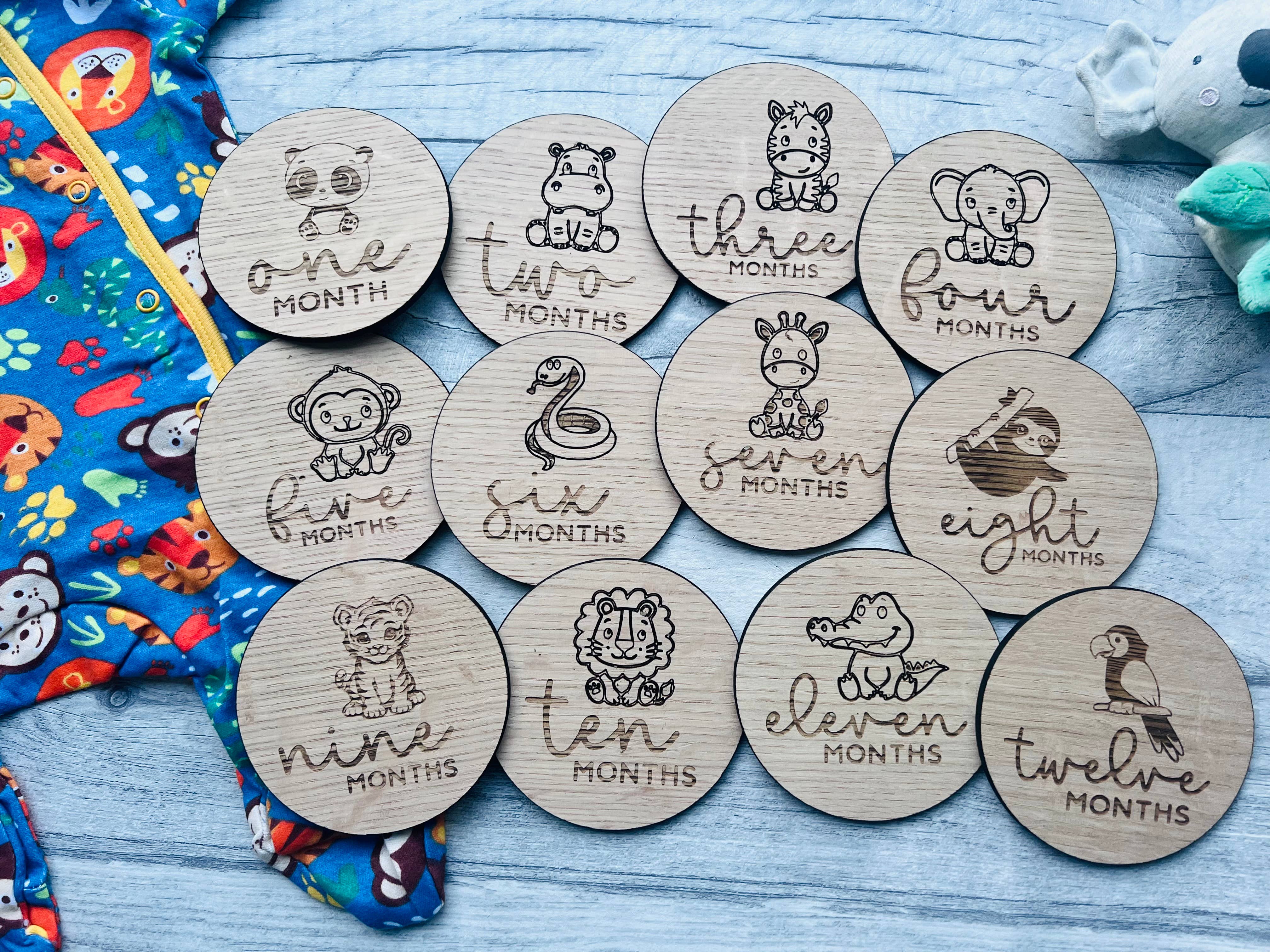Baby Milestone Discs - Jungle craft product