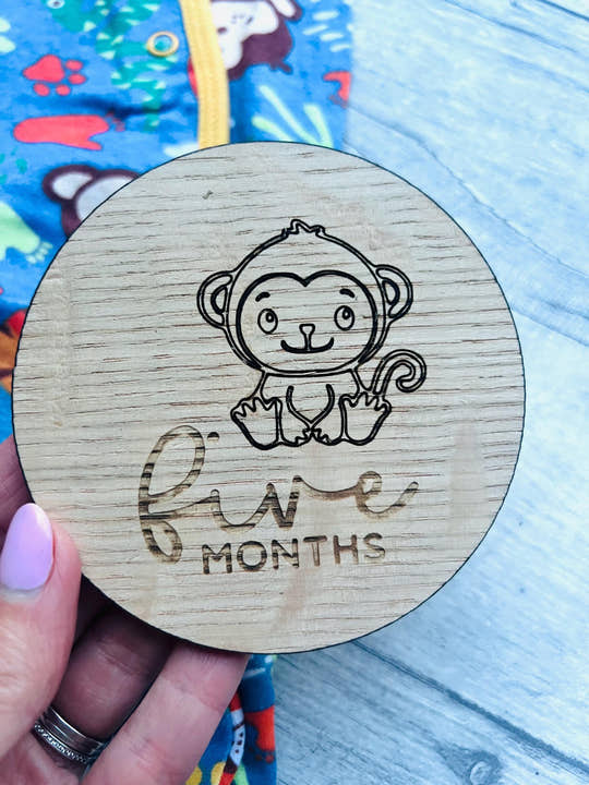 Five Month baby milestone disc