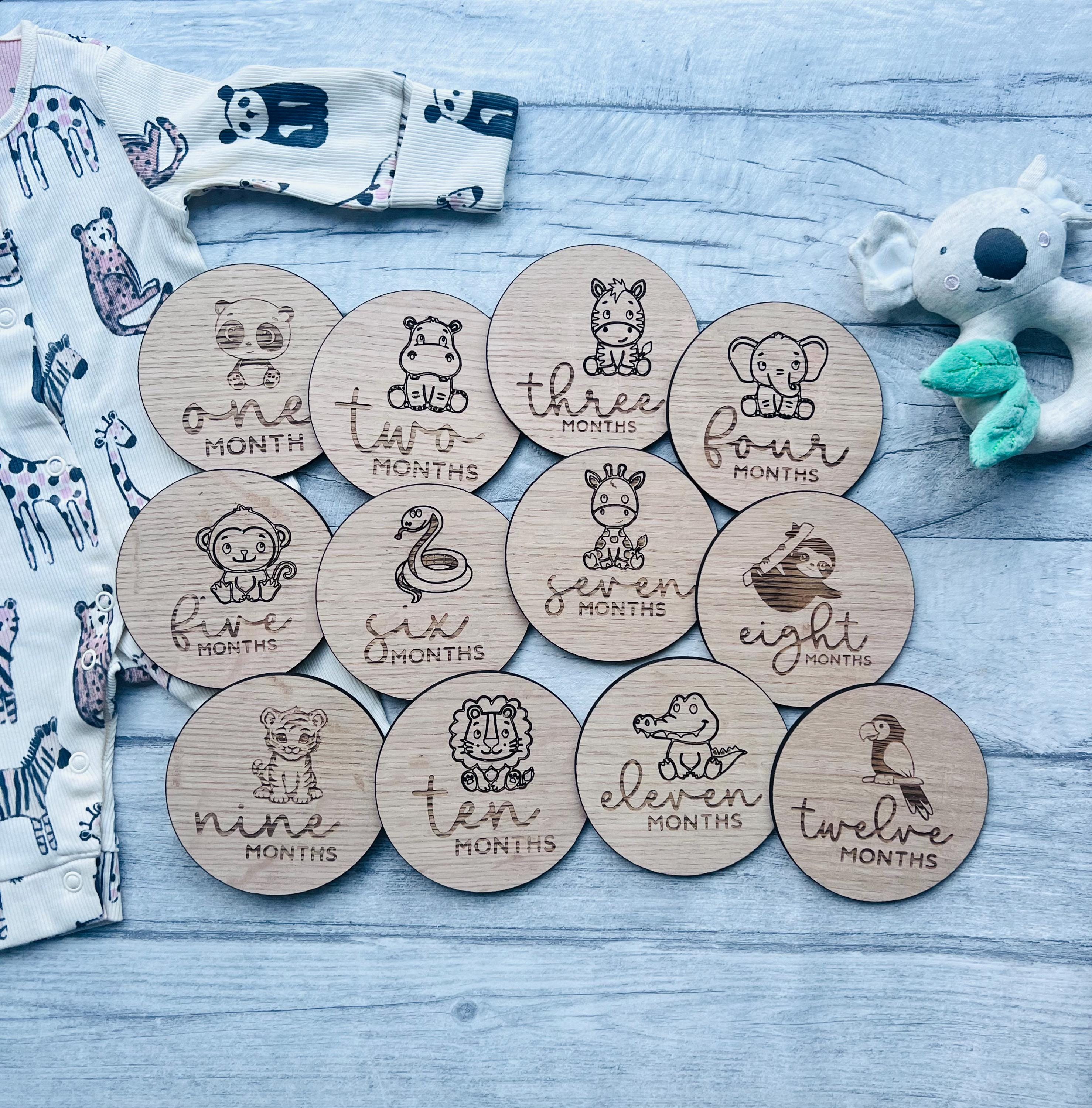 Load image into Gallery viewer, Set of 12 Bay Milestone Discs
