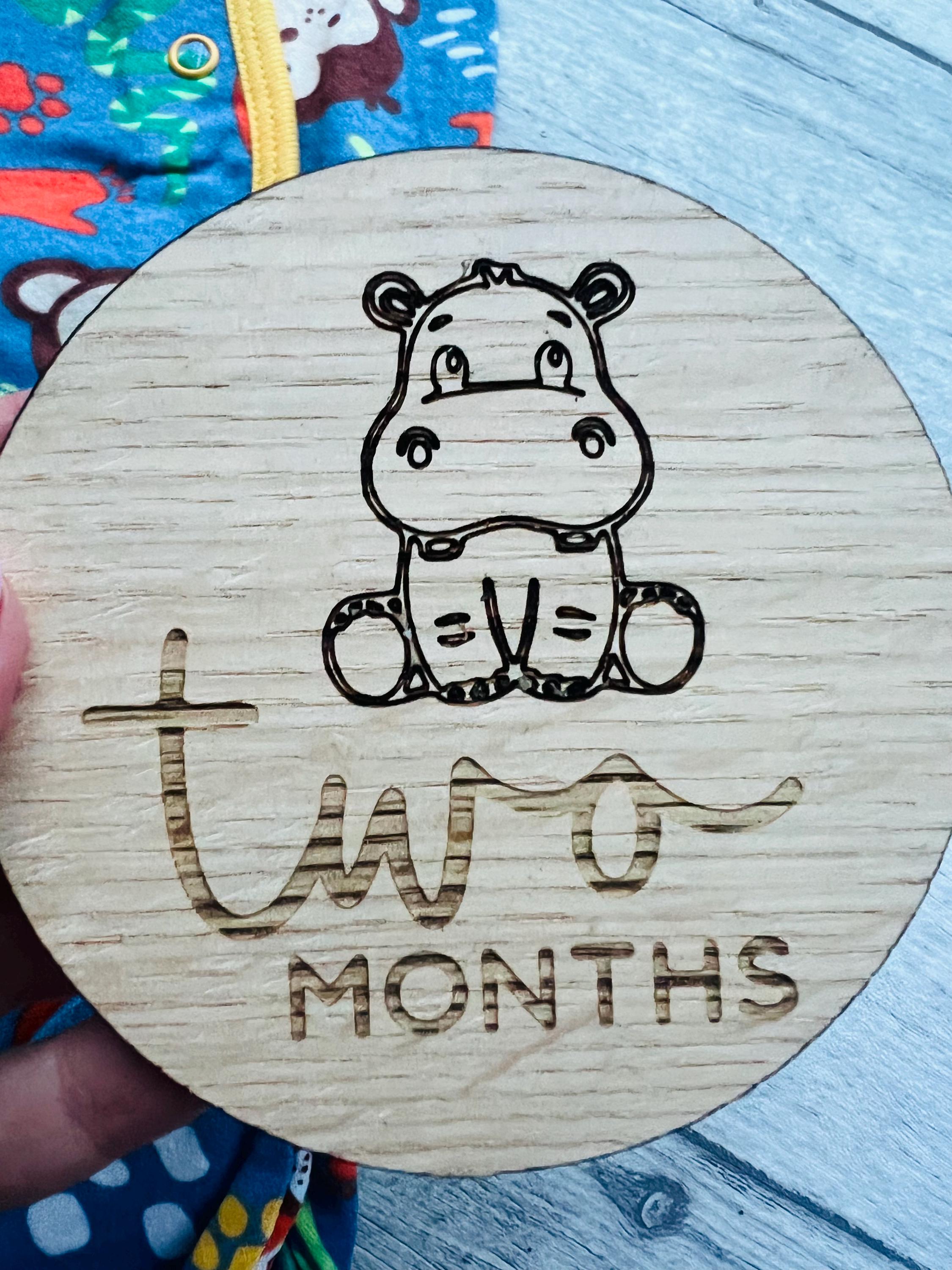 Load image into Gallery viewer, Two Month baby milestone disc
