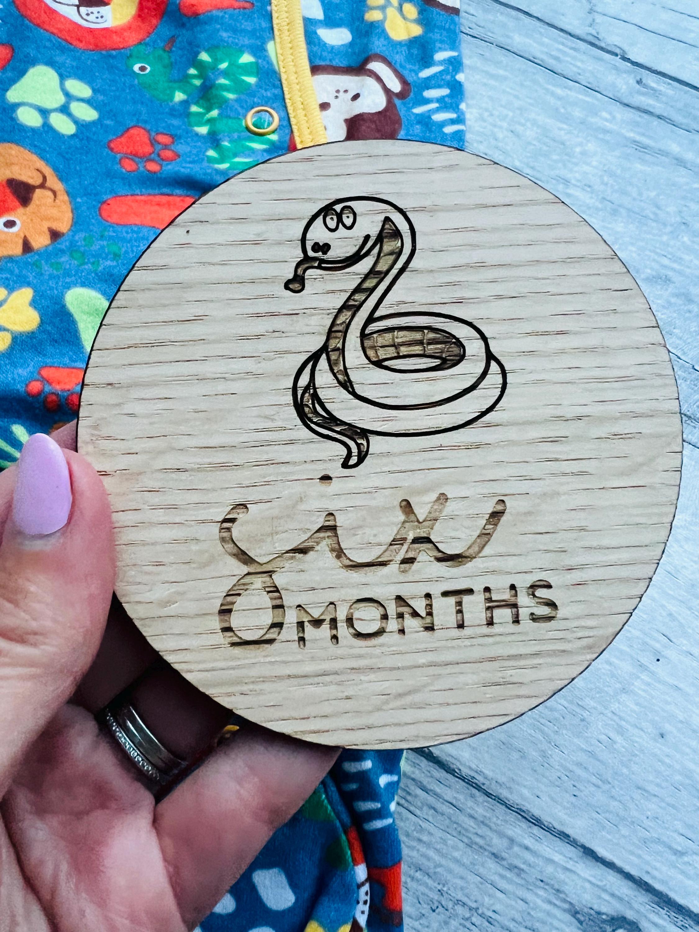 Load image into Gallery viewer, Six Month baby milestone disc
