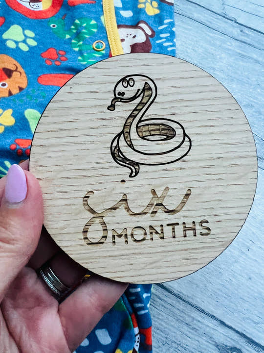 Six Month baby milestone disc