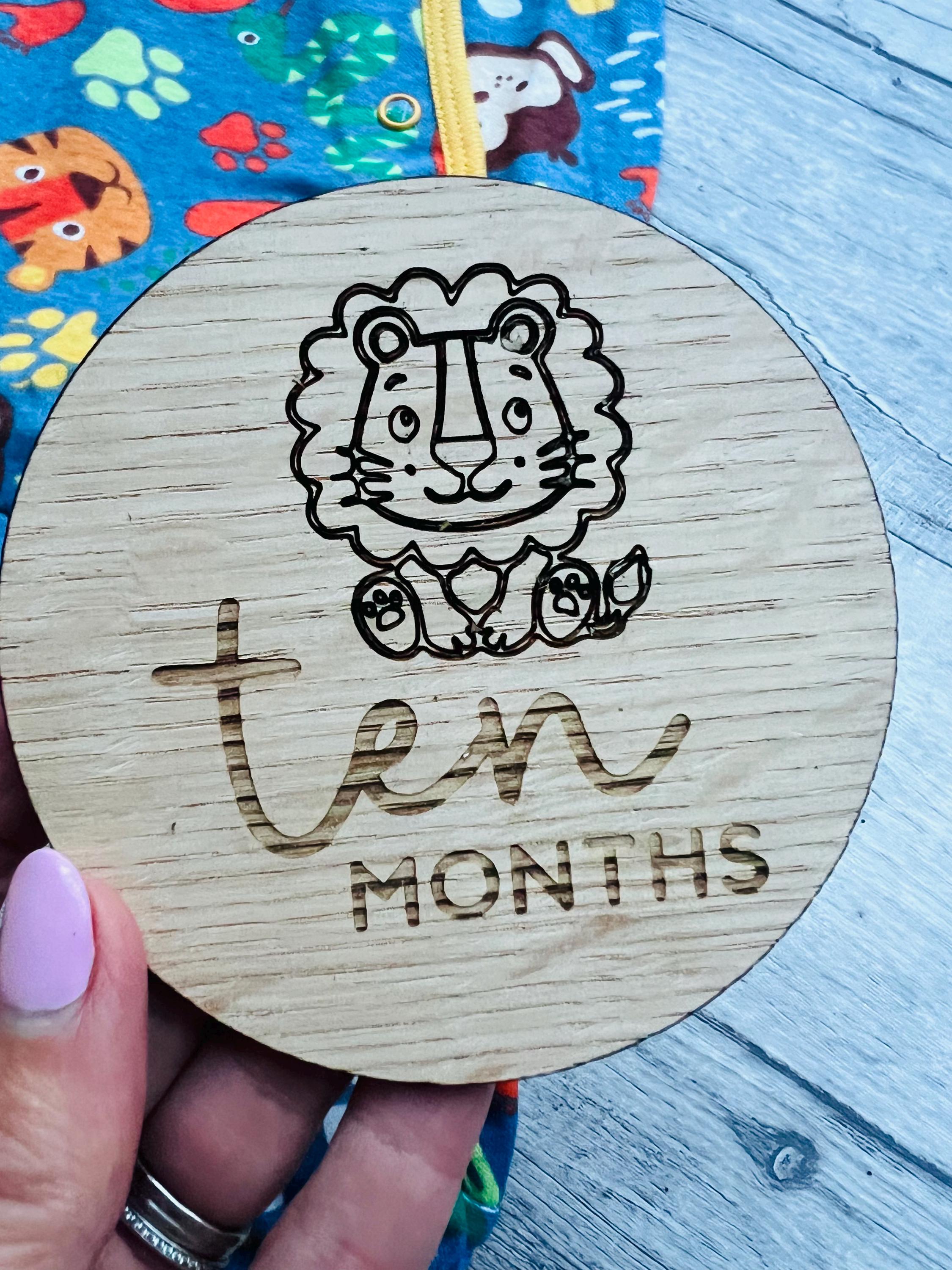 Load image into Gallery viewer, Ten Month baby milestone disc
