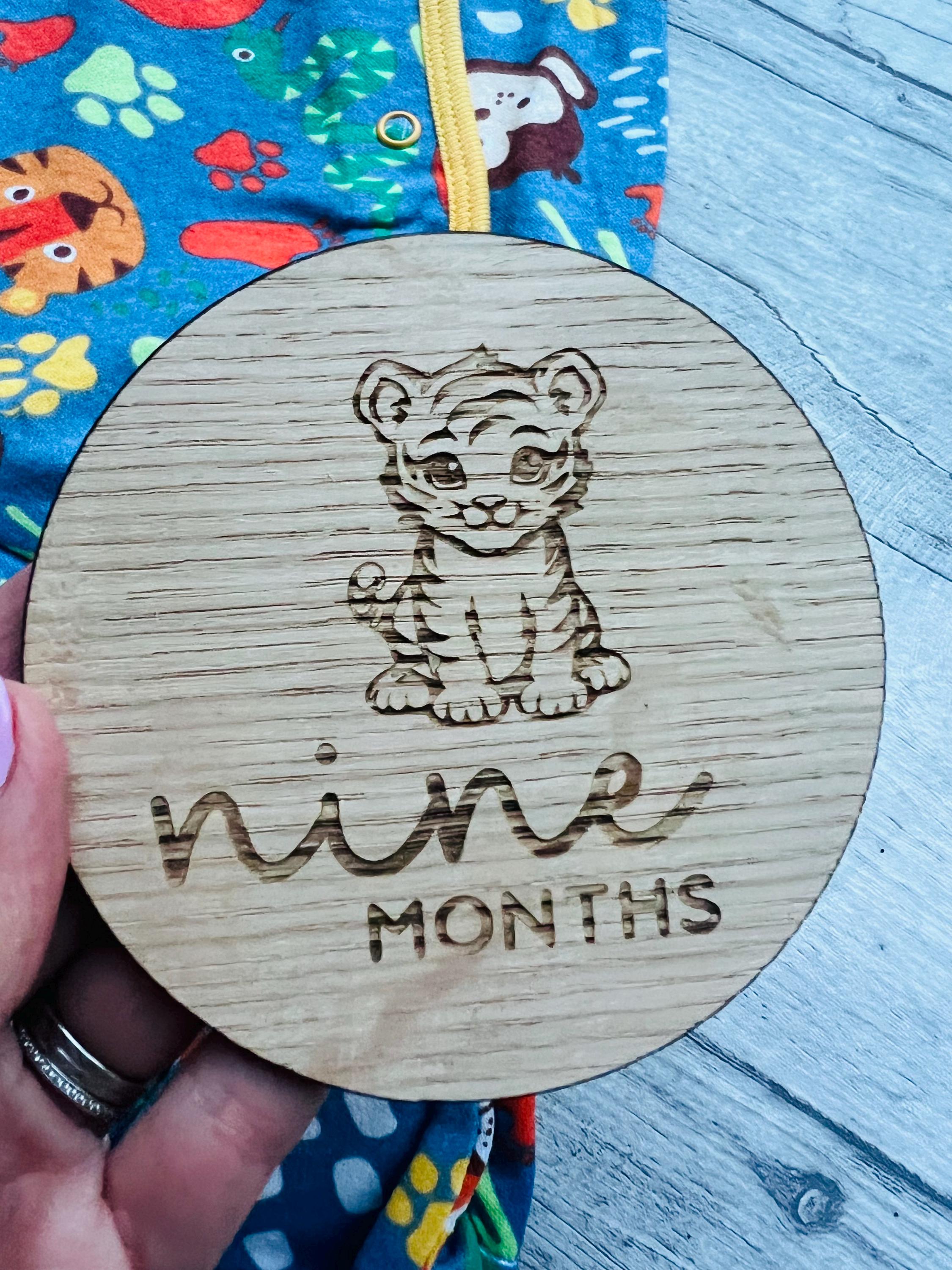 Load image into Gallery viewer, Nine Month baby milestone disc
